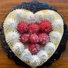 Heart Fraisier (Strawberry Cake)